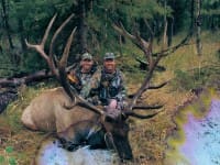 scan_227