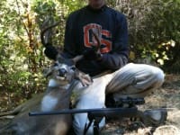 Deer-2011