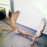 scan_112