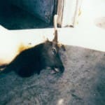 scan_172