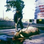 scan_184