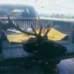 scan_218
