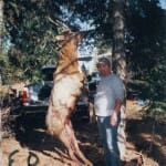 scan_228