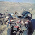scan_254