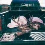 scan_363