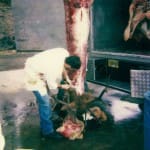 scan_364