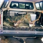 scan_379