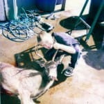 scan_394