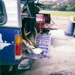 scan_399