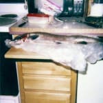 scan_401