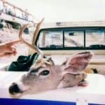 scan_416