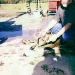 scan_9