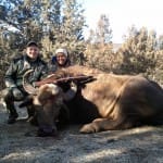Asian Water Buffalo