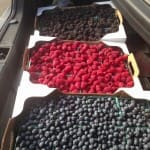 Have a Very Berry Summer!